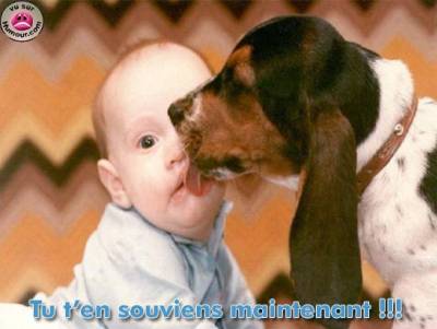 tu te souvien de membraser