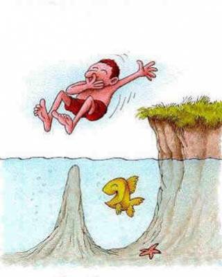 le plongeon