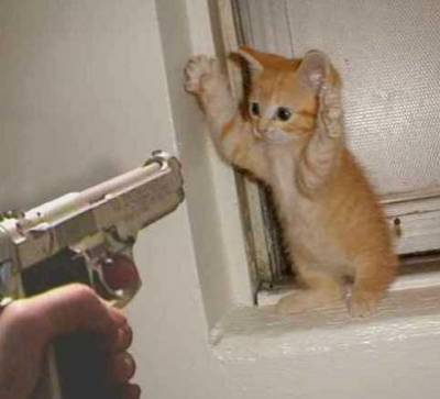 haut les mains!!!!!haut les mains!!!!!